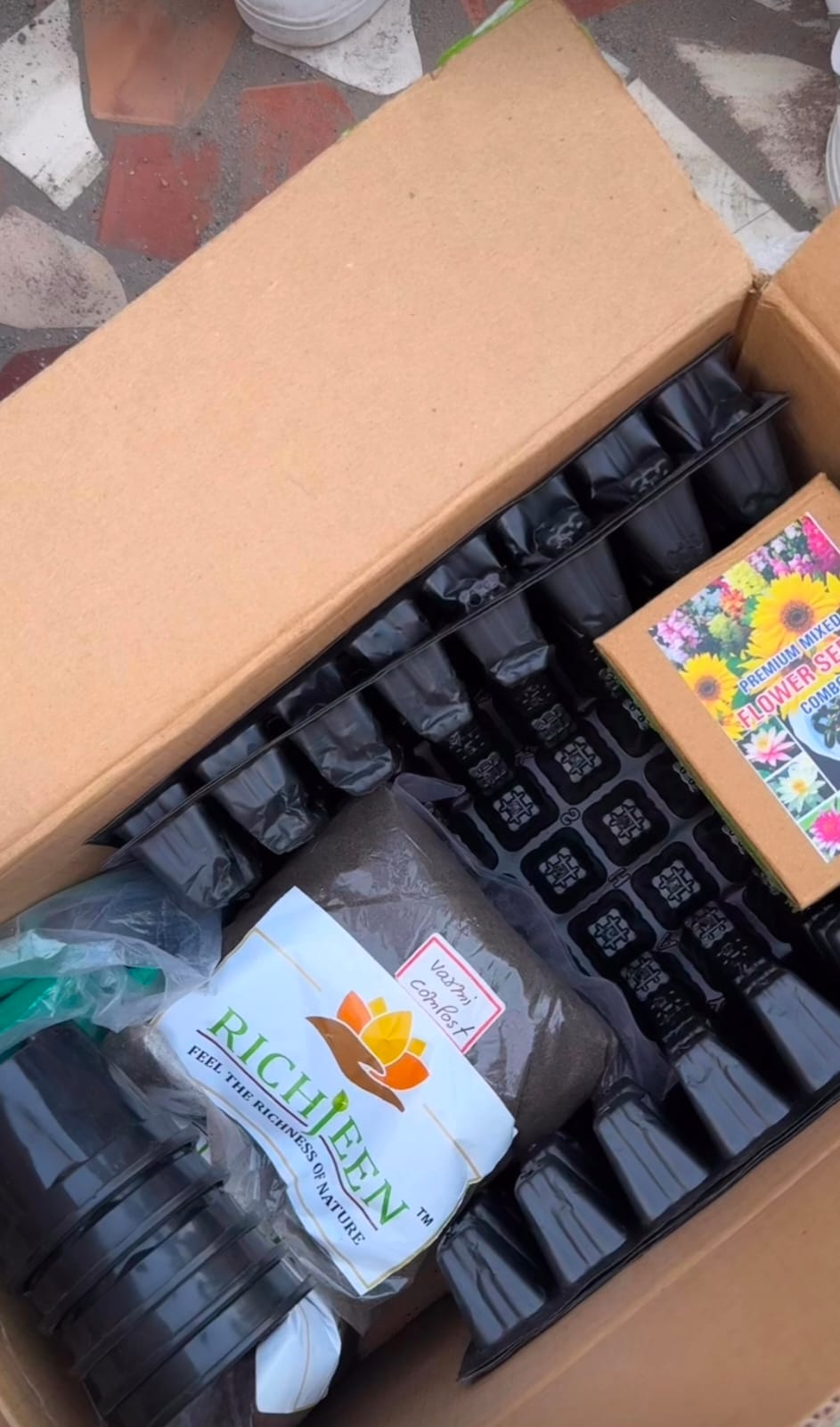 Premium Hybrid Flower Seed Combo