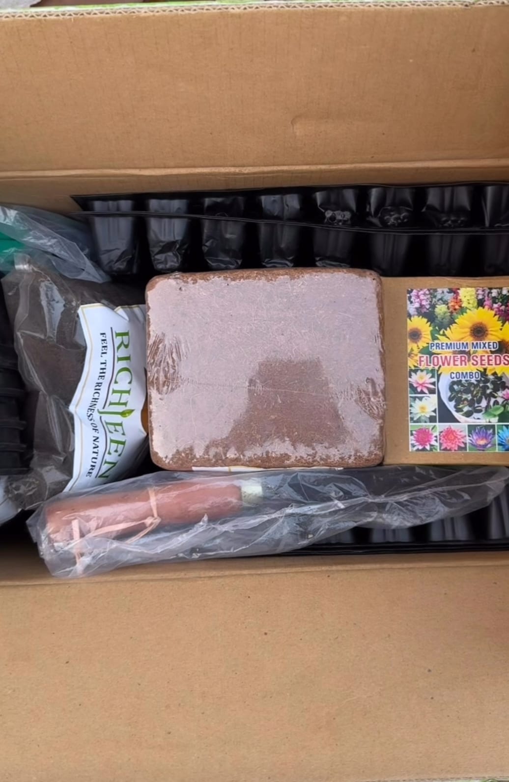 Premium Hybrid Flower Seed Combo