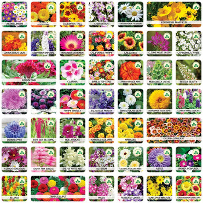 Premium Flower seeds (Buy 1 Get 1 Free)