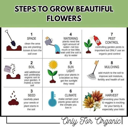 Premium Hybrid Flower Seed Combo