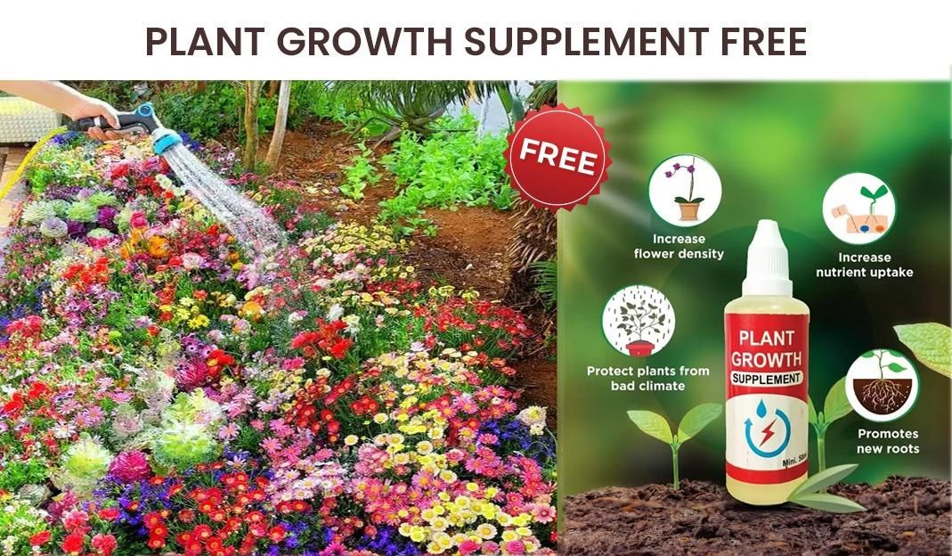 Mix Premium Flower Seed's + Plant Growth Supplement Free