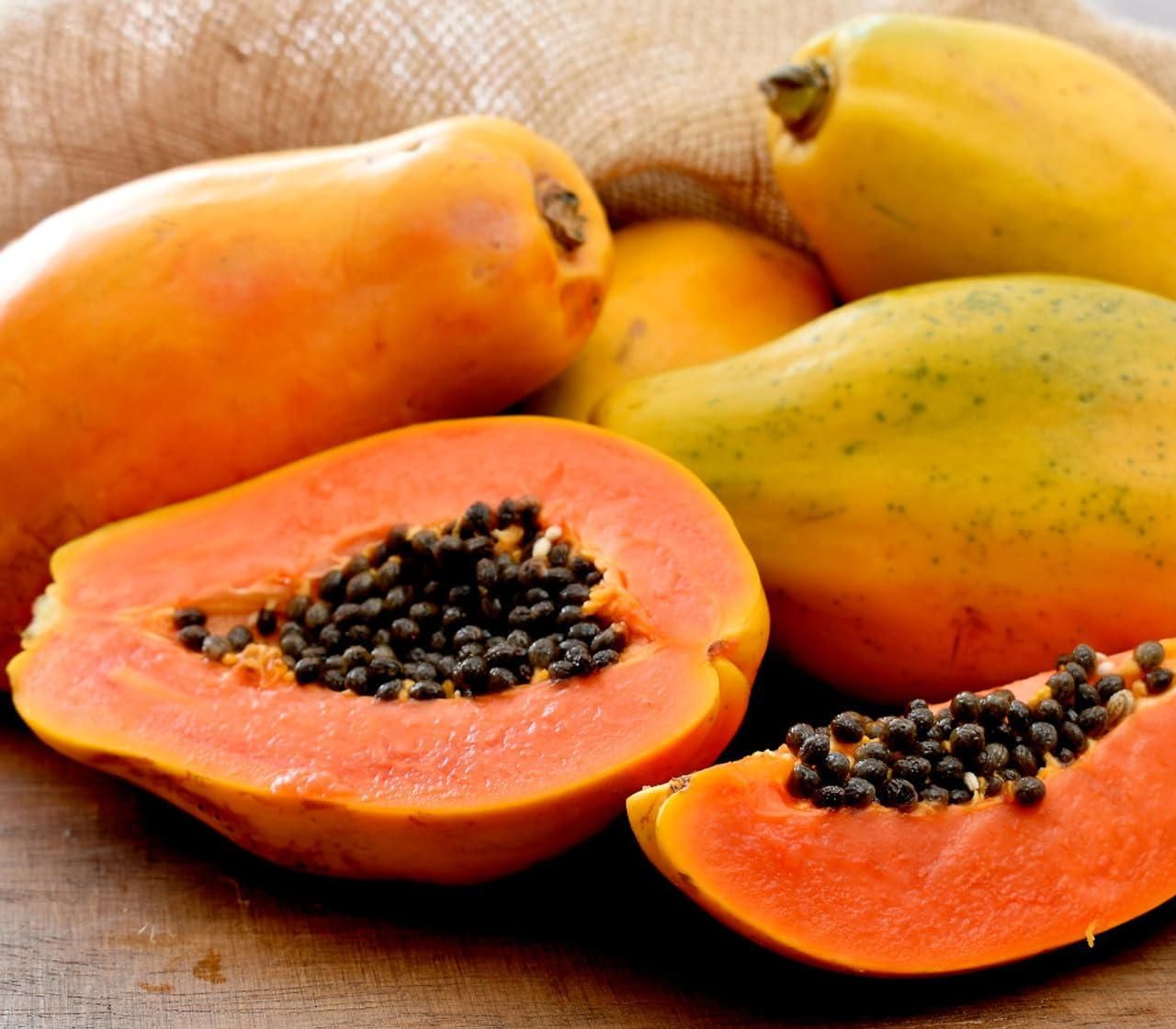 Big Harvest, Small Space: Premium Hybrid Dwarf Papaya Seeds 🥭+ Plant Growth Supplement Free