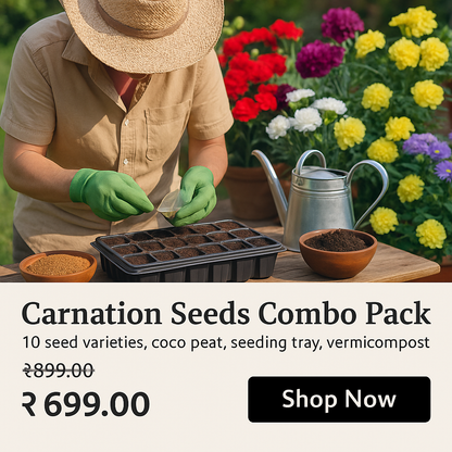 Carnation Seeds Combo Pack (coco peat + seeding tray + vermicompost + seeds)