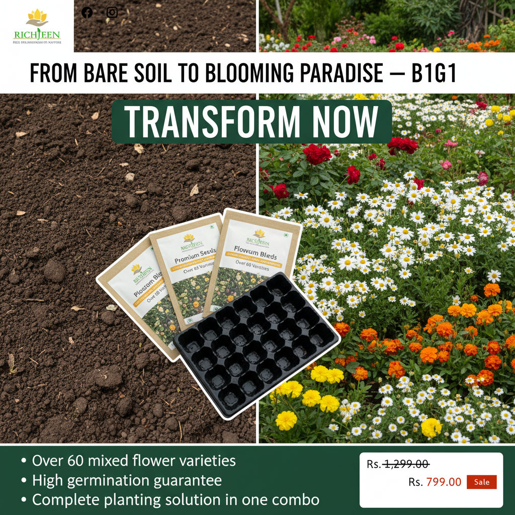 Premium Flower seeds (Buy 1 Get 1 Free)