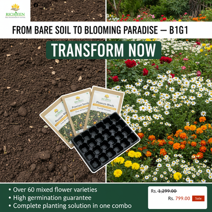Premium Flower seeds (Buy 1 Get 1 Free)