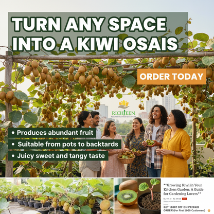 **Growing Kiwi in Your Kitchen Garden: A Guide for Gardening Lovers**