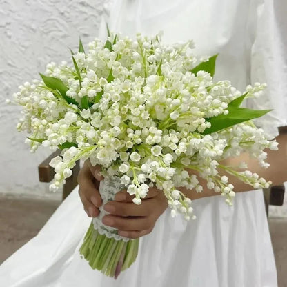 Breathtaking Elegance: Premium Lily Flower Seeds