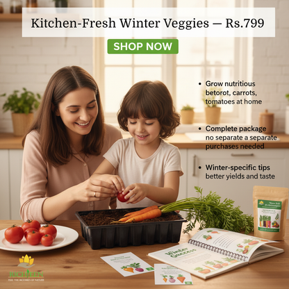 Winter Vegetables for Your Kitchen Garden-Winter is a wonderful time for gardening