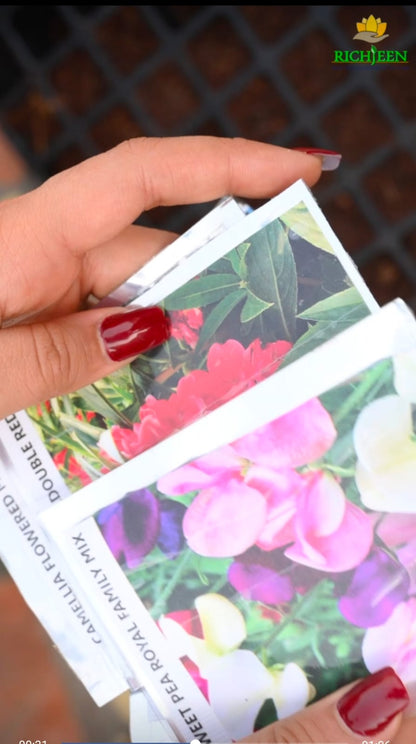 Premium Hybrid Flower Seed Combo