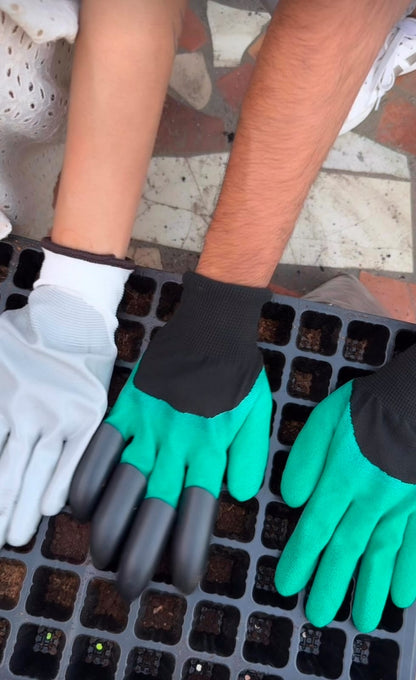 Premium Hybrid Flower Seed Combo