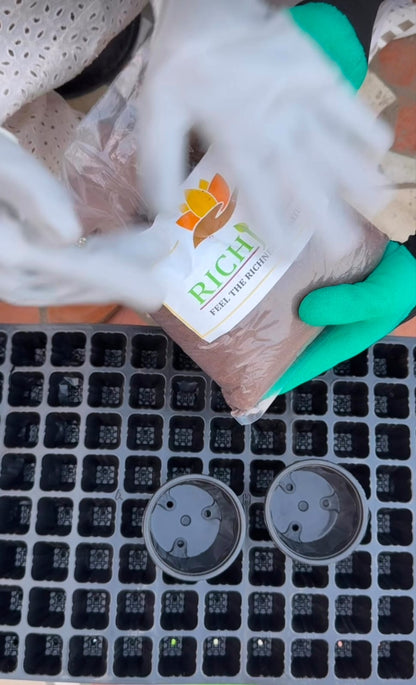 Premium Hybrid Flower Seed Combo