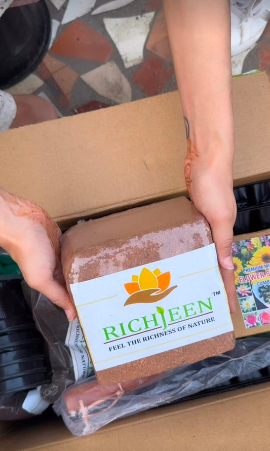 Premium Hybrid Flower Seed Combo