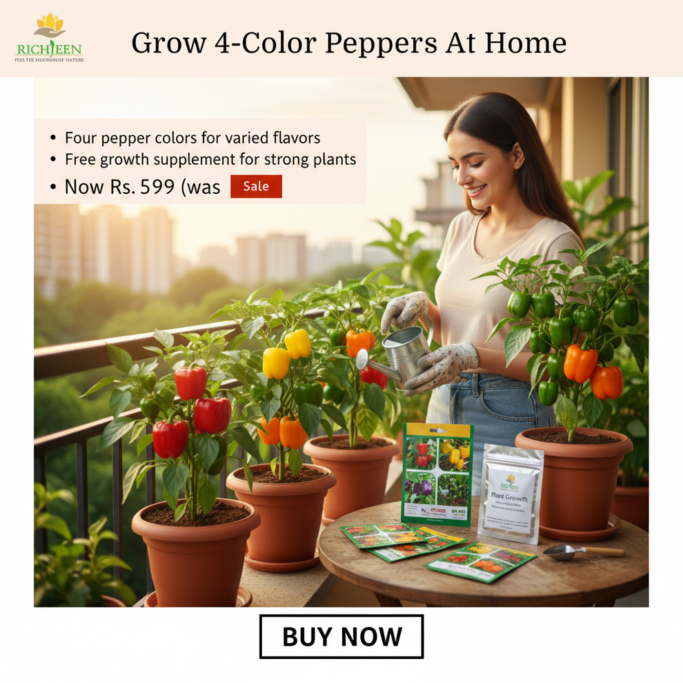 4 Different Color Capsicum Hybrid Seeds Packet + Plant Growth Suppleme ...