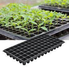 77 Cavity Seedling Tray, Square Shape Hole Germination Tray