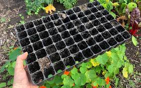 77 Cavity Seedling Tray, Square Shape Hole Germination Tray