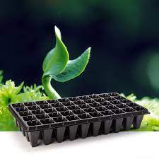 77 Cavity Seedling Tray, Square Shape Hole Germination Tray