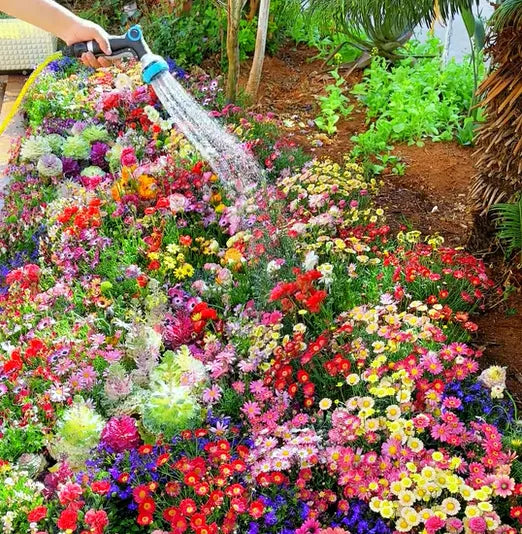 Premium Photo  A stunning flower garden bursting with vibrant colors and  fragrant blooms