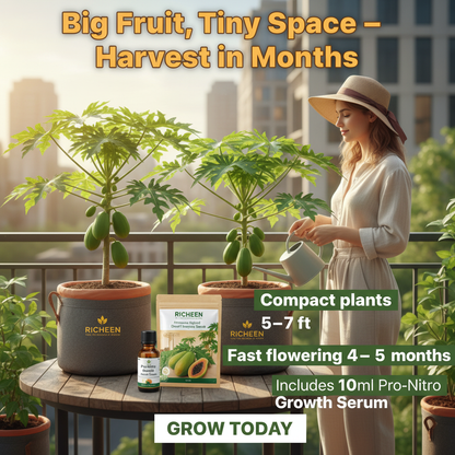 Big Harvest, Small Space: Premium Hybrid Dwarf Papaya Seeds 🥭+ Plant Growth Supplement Free