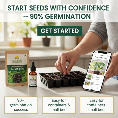 Big Harvest, Small Space: Premium Hybrid Dwarf Papaya Seeds 🥭+ Plant Growth Supplement Free