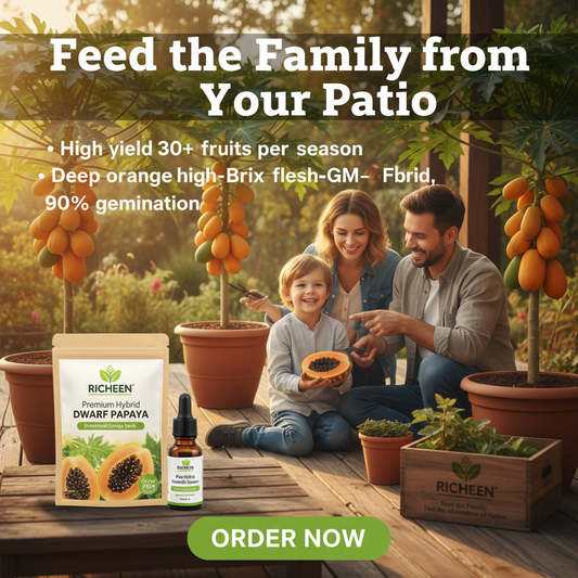 Big Harvest, Small Space: Premium Hybrid Dwarf Papaya Seeds 🥭+ Plant Growth Supplement Free